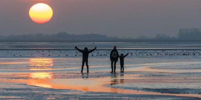 Northern France _ Bay of Somme _ Le Crotoy © CRTC Hauts-de-France - Stéphane BOUILLAND