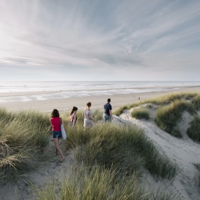 Quend balade dans les dunes © CRTC Hauts-de-France - Teddy Henin