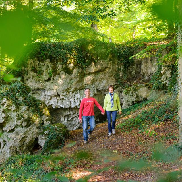 Saint-Gobain _ Randonnée en forêt de Saint-Gobain @ Aisne Tourisme - Vincent Colin