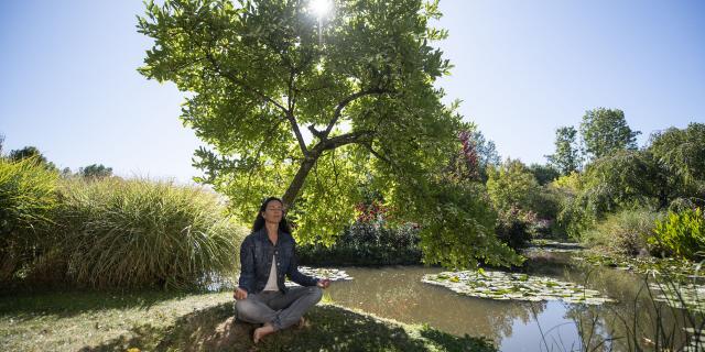 Saint-Paul _ Jardin Van Beek _Relaxation Zen © CRTC Hauts-de-France - Benjamin Teissedre