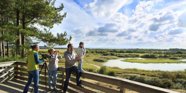 Saint-Quentin-en-Tourmont, Parc ornithologique du Marquenterre, Baie de Somme ©CRTC Hauts-de-France - Anne-Sophie FLAMENT