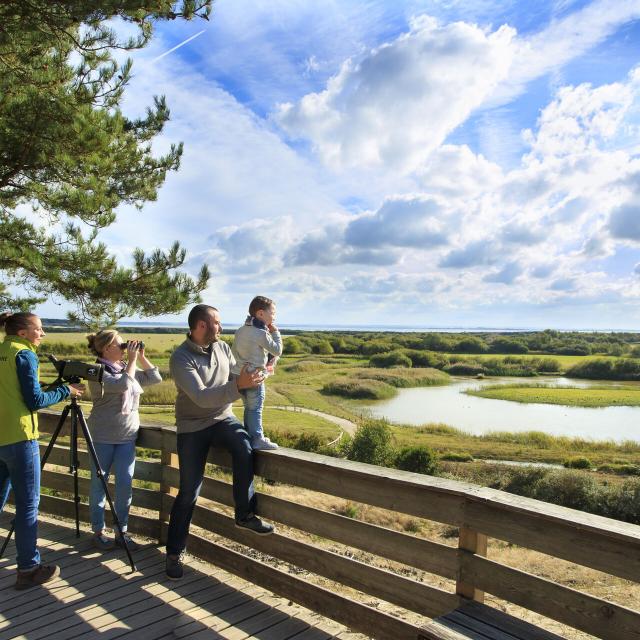 Saint-Quentin-en-Tourmont, Parc ornithologique du Marquenterre, Baie de Somme ©CRTC Hauts-de-France - Anne-Sophie FLAMENT