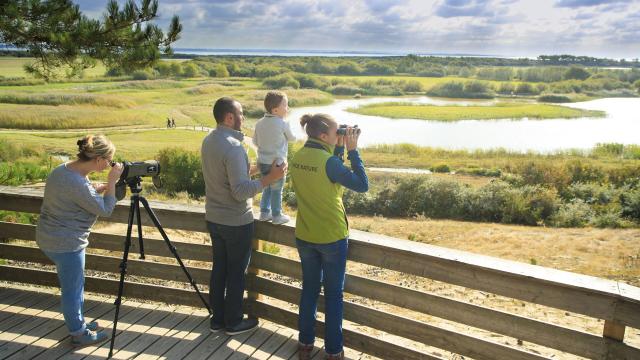 Saint-Quentin-en-Tourmont_Parc ornithologique du Marquenterre©CRTC Hauts-de-France_Anne-Sophie Flament