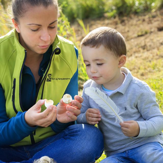 Saint-Quentin-en-Tourmont_Parc ornithologique du Marquenterre©CRTC Hauts-de-France_Anne-Sophie Flament