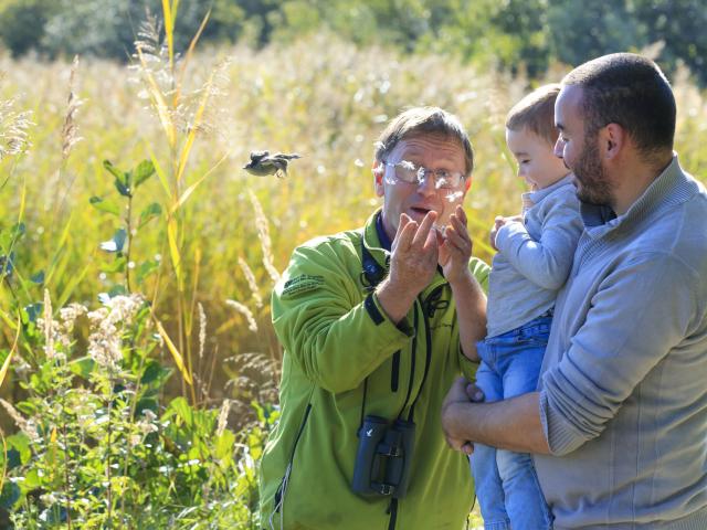 Saint-Quentin-en-Tourmont_Parc ornithologique du Marquenterre©CRTC Hauts-de-France_Anne-Sophie Flament