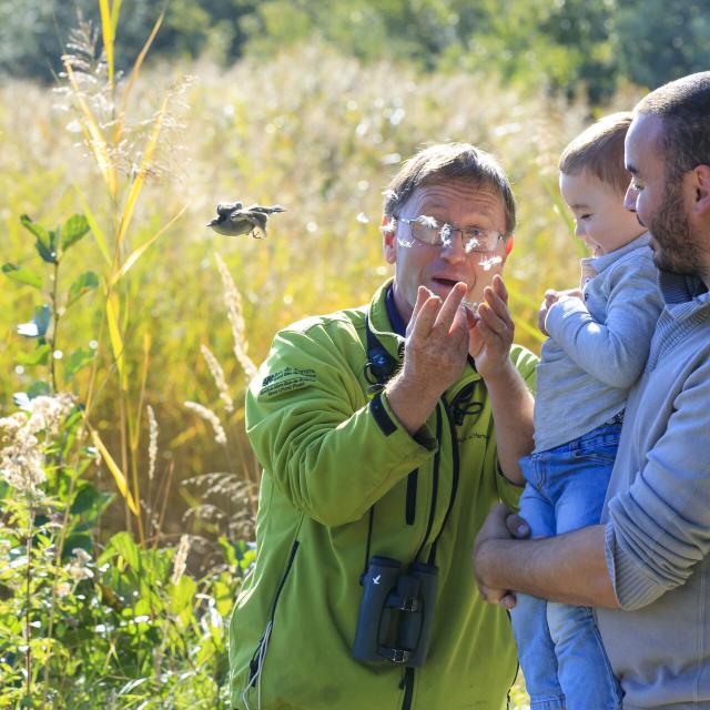 Saint-Quentin-en-Tourmont_Parc ornithologique du Marquenterre©CRTC Hauts-de-France_Anne-Sophie Flament