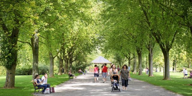 Saint Quentin Réserve Naturelle Nationale Des Marais D'isle©crtc Hauts De France Vincent Colin (01)