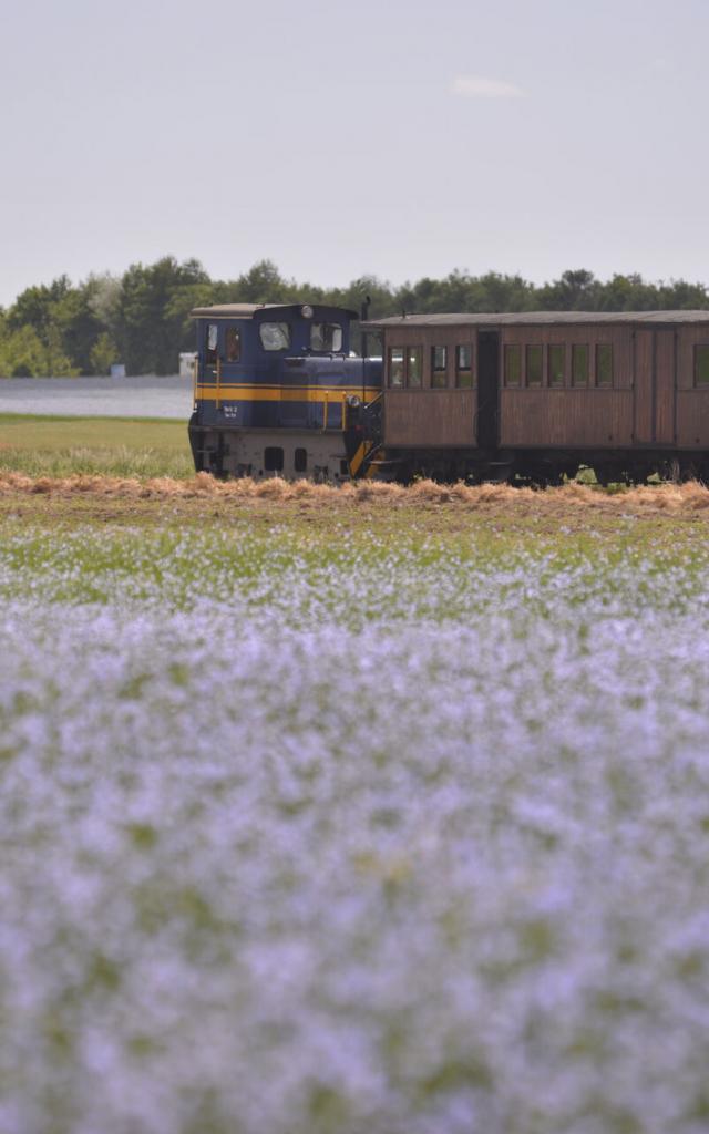 Northern France _ Le Crotoy_Saint-Valery-sur-Somme_ steam train © CRTC Haut-de-France - Nicolas Bryant