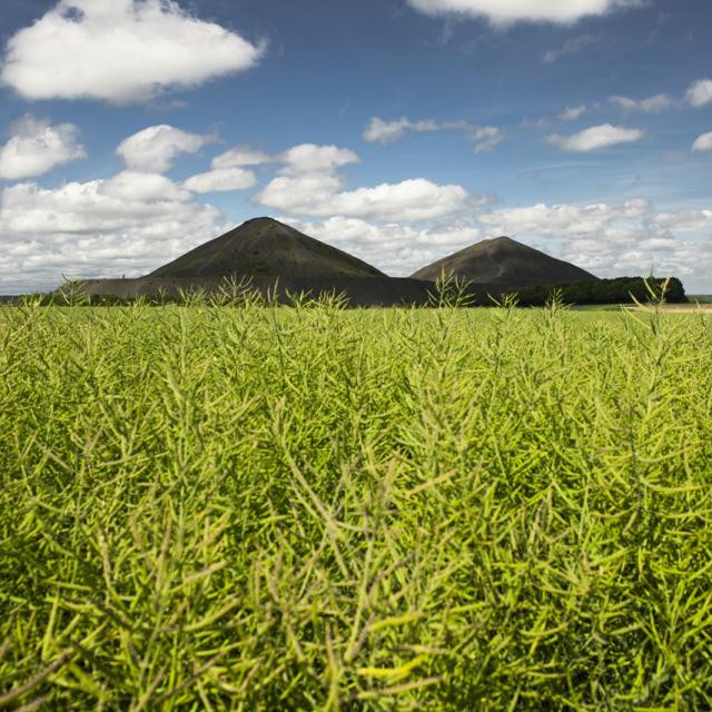 Haillicourt, Les terrils jumeaux - ©Bassin Minier Unesco - OT Béthune-Bruay