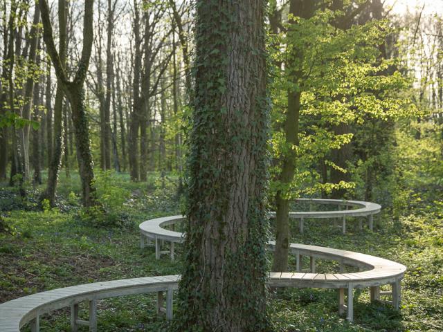 Sitzbank schlängelt sich vorbei an Bäumen im walisischen Garten des Friedens in Thiepval, Nordfrankreich. Copyright: Art & Jardins Hauts de France - Yann Monel