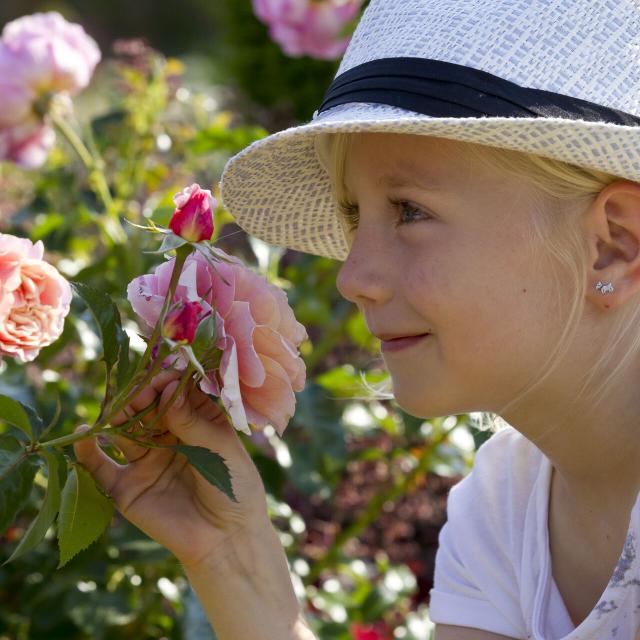 Argoules_Jardins de Valloires ©CRTC Hauts-de-France - Anne-Sophie FLAMENT