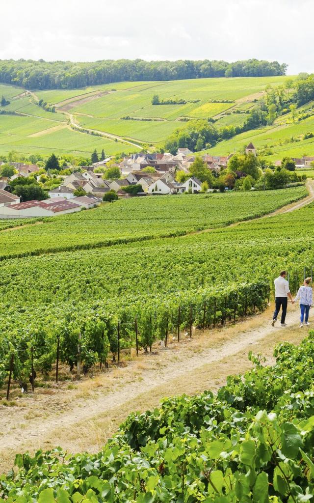 Zwei Wanderer in den Weinbergen der Champagne, Copyright: CRTC Hauts-de-France - Vincent Colin