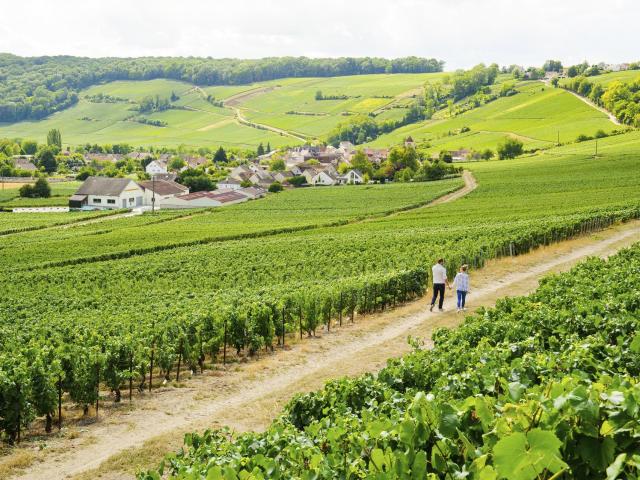 Zwei Wanderer in den Weinbergen der Champagne, Copyright: CRTC Hauts-de-France - Vincent Colin