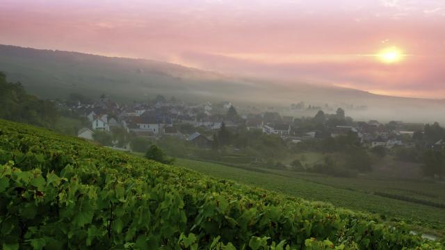 Azy-sur-Marne, sud de l'Aisne, point de vue de Bonneil sur le vignoble de Champagne ©CRTC Hauts-de-France - Anne-Sophie Flament