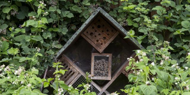 Villers Au Tertre Hôtel à Insectes©crtc Hauts De France Benjamin Teissedre