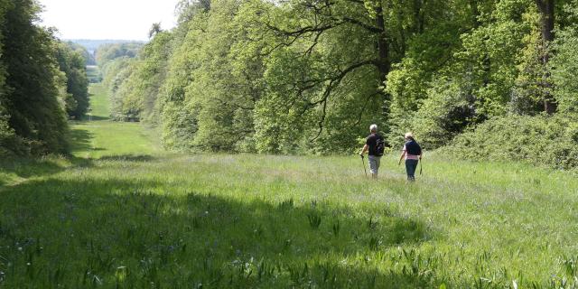 Northern France _ Villers-Cotterêts _ Forest © Office de Tourisme Retz-en-Valois