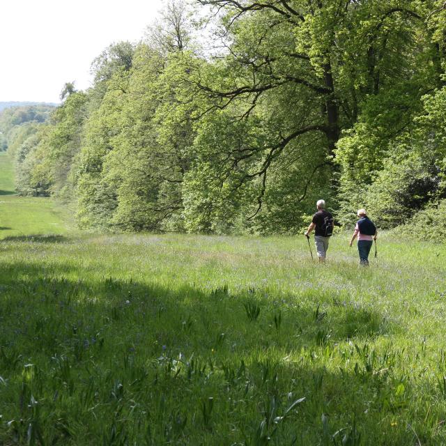 Villers-Cotterêts _ Forêt de Retz _ Allée Royale © Office de Tourisme Retz-en-Valois