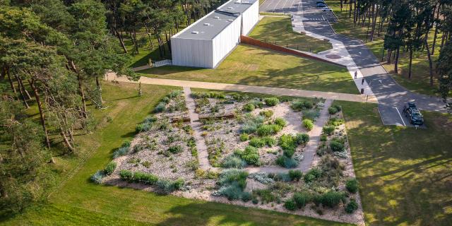 Vimy _ Jardin de la Paix © Art & Jardins Hauts de France - Yann Monel