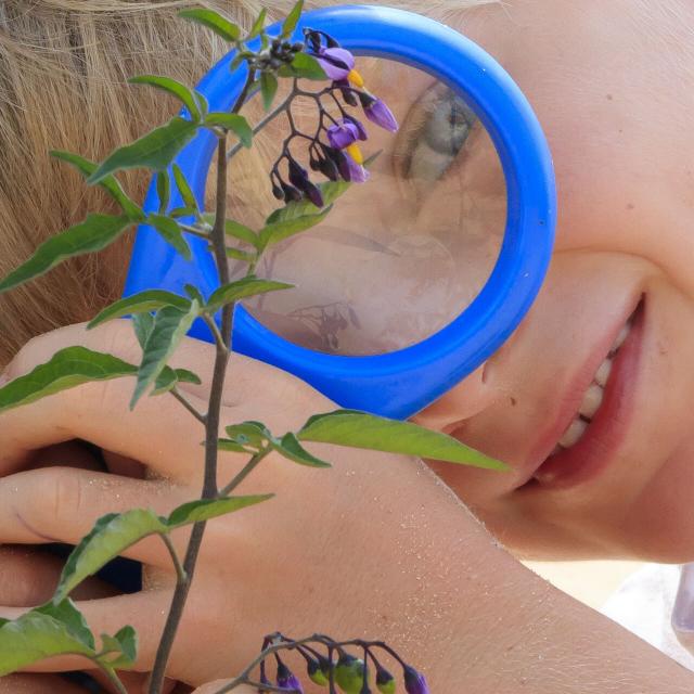 Ambleteuse _ Dunes de la Slack © CRTC Hauts-de-France - Anne-Sophie Flament