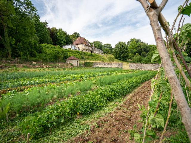 Blick auf die Gemüse-Arbeitergärten von Autrêches, L'Hermitage, Nordfrankreich. Copyright: Cqc Laëtitia Baudu