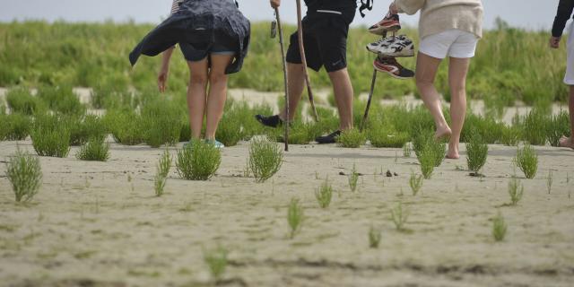 Baie de Somme _ Traversée de la Baie © CRTC Hauts de France - Nicolas Bryant