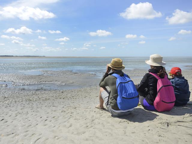 Baie De Somme Traversée De La Baie 18 Crt Hauts De FranceBaie de Somme_Traversée de la Baie © CRTC Hauts de France - Nicolas Bryant Nicolas Bryant