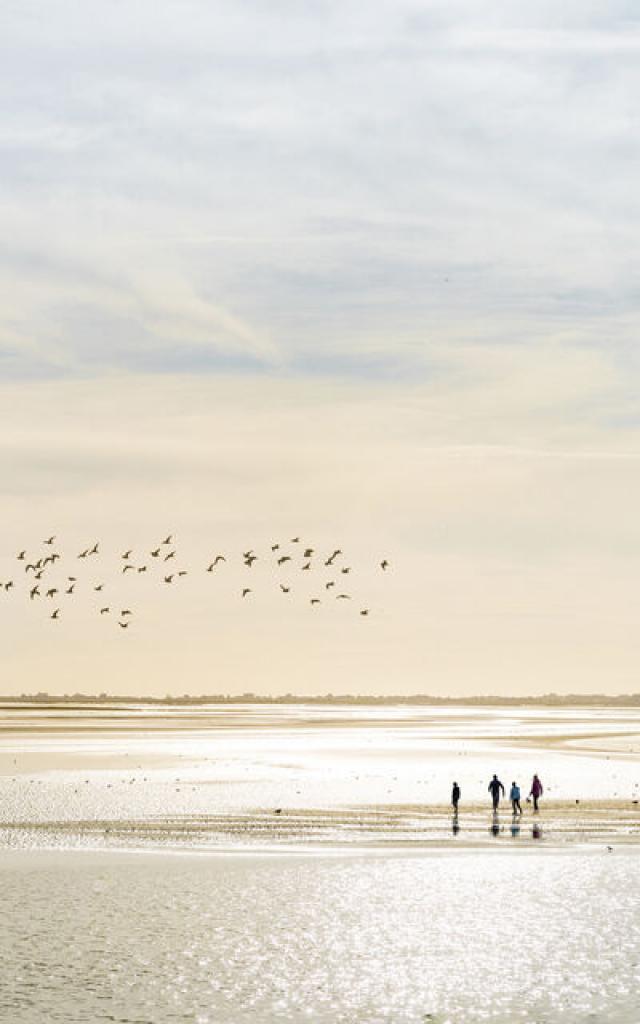 Baie de Somme_traversée de la baie à pied © Benoit Bremer