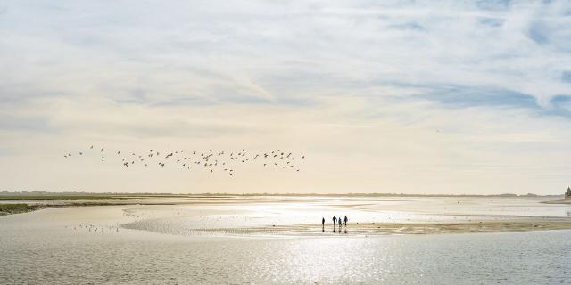 Northern France _ Bay of Somme _ Walk across the Bay of Somme© Benoit Bremer