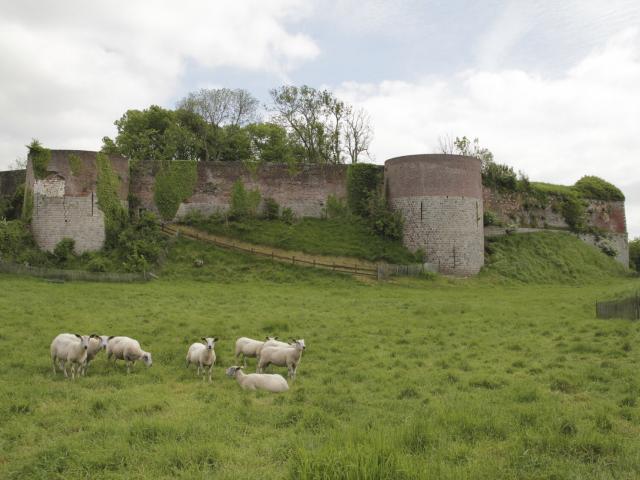 Montreuil-sur-Mer, remparts