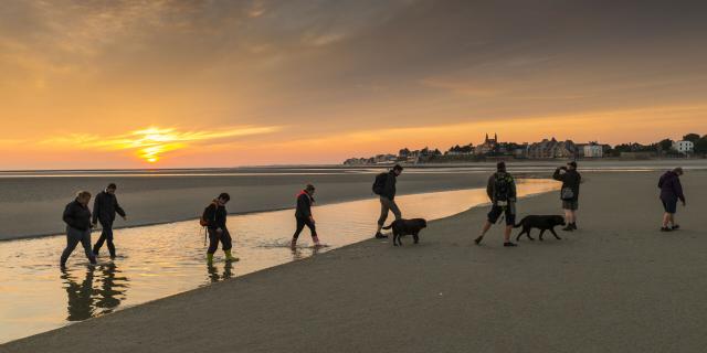 Baie de Somme_Sortie nature 