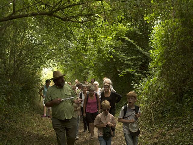 Saint-Jean-aux-Bois_Festival des Forêts_Randonnée ©CRTC Hauts-de-France_Ludovic Leleu