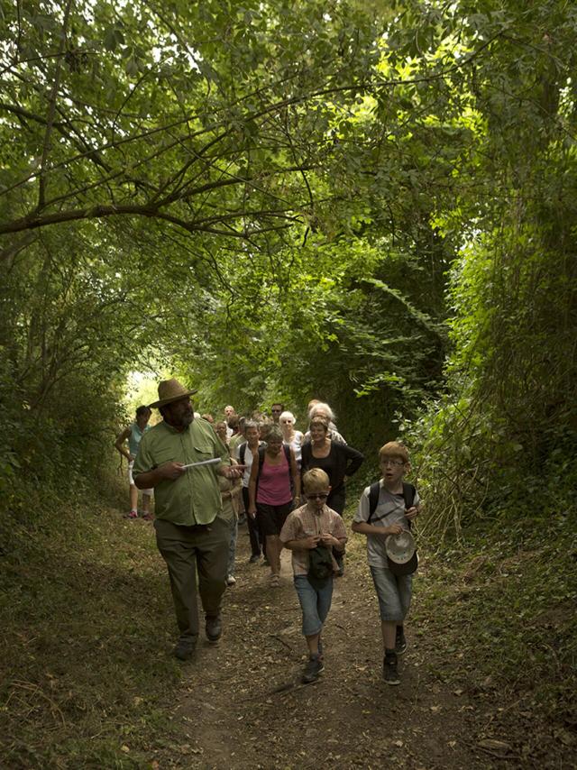 Saint-Jean-aux-Bois_Festival des Forêts_Randonnée ©CRTC Hauts-de-France_Ludovic Leleu