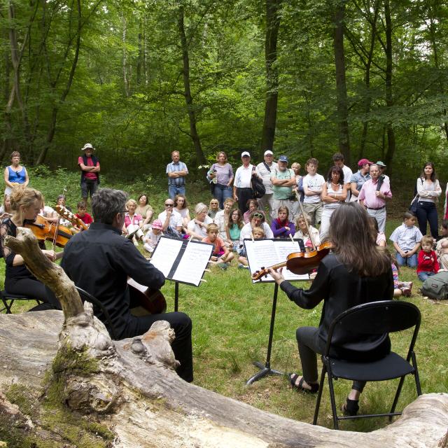 Saint-Jean-aux-Bois_Festival des forêts_randonnee et aubade en forêt©CRTC Hauts-de-France_Anne-Sophie Flament