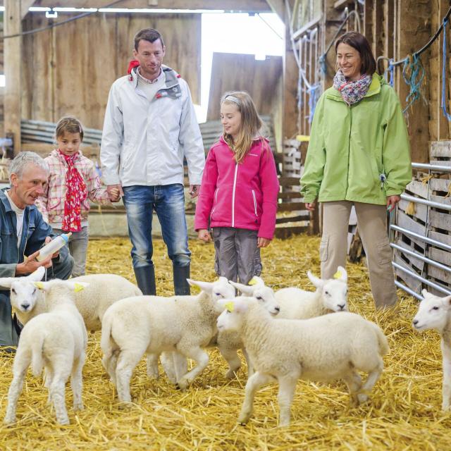 Eparcy_Ferme du Château Grange © CRTC Hauts-de-France - Vincent Colin