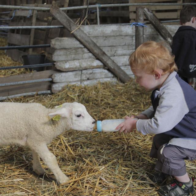 Eparcy_Ferme du Château Grange © CRTC Hauts-de-France - Jean-Luc Verbrugghe