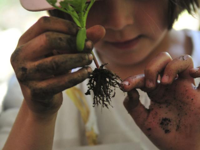 Nordfrankreich_Chantilly_Potager des Princes©CRTC Hauts-de-France – Nicolas Bryant