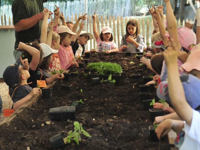 Chantilly_Potager des Princes_Les Ateliers découvertes©CRTC Hauts-de-France – Nicolas Bryant