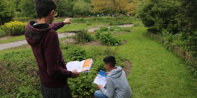 Bailleul_Conservatoire national botanique_animation semi-guidée dans le jardin des plantes sauvages @ Thibault Pauwels