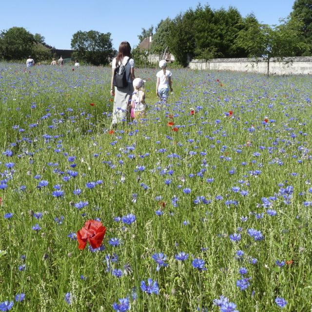 Blérancourt_Jardins du Nouveau Monde©CRTC Hauts-de-France - Davina Drujon (2)