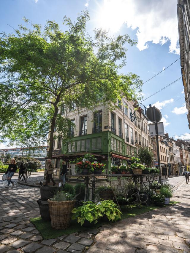 Nordfrankreich_Lille_Place des patiniers©CRTC Hauts-de-France MakeArtMedia