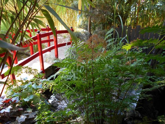 Sains-du-Nord_Jardin d’esprit Japonais © Stéphane Burvenique 4