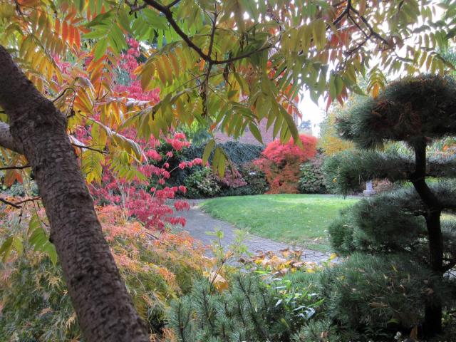 Sains-du-Nord_Jardin d’esprit Japonais © Stéphane Burvenique