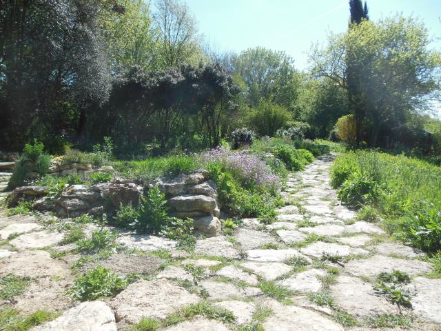 Nordfrankreich_Talmontiers_Jardin du Naturaliste©Olivier Tranchard