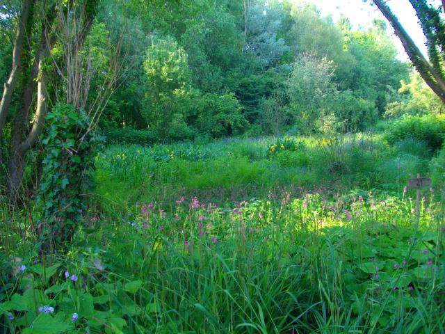 Nordfrankreich_Talmontiers_Jardin du Naturaliste©Olivier Tranchard