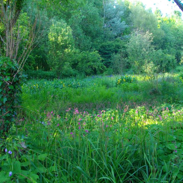 Talmontiers_Jardin_Du_Naturaliste © Olivier Tranchard(2)