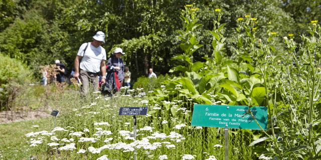 Bailleul_Conservatoire national botanique de Bailleul_visiteurs dans le jardin des plantes sauvages@ Céline Desmis