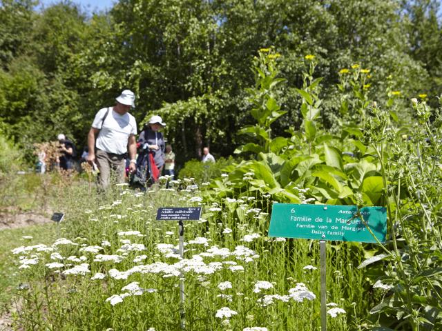 Bailleul_Conservatoire national botanique de Bailleul_visiteurs dans le jardin des plantes sauvages@ Céline Desmis