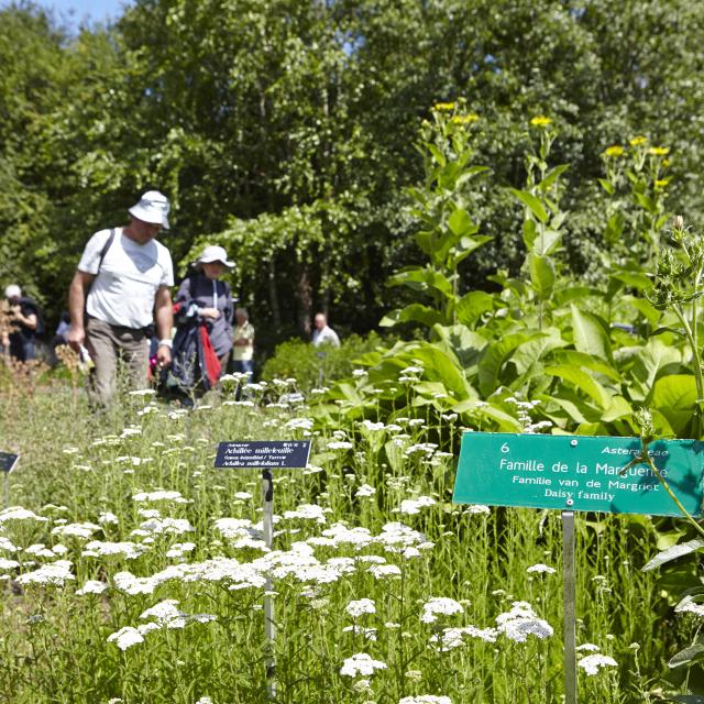 Bailleul_Conservatoire national botanique de Bailleul_visiteurs dans le jardin des plantes sauvages@ Céline Desmis