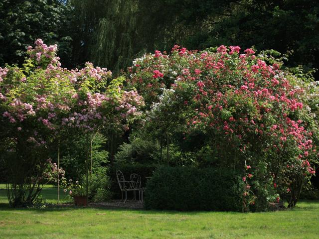 Bertaucourt-les-Thennes_ Jardin de la Lucine © Jacques Taquet