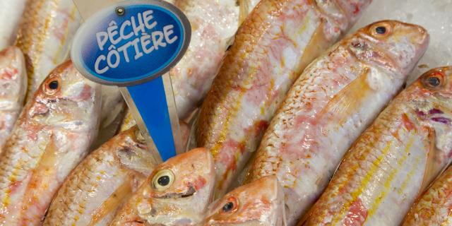 Northern France _ Le Touquet _ Fish market © Anne Sophie Flament